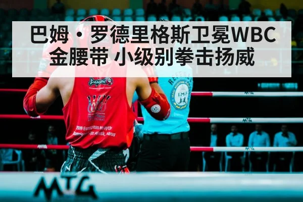 巴姆·罗德里格斯卫冕WBC金腰带 小级别拳击扬威